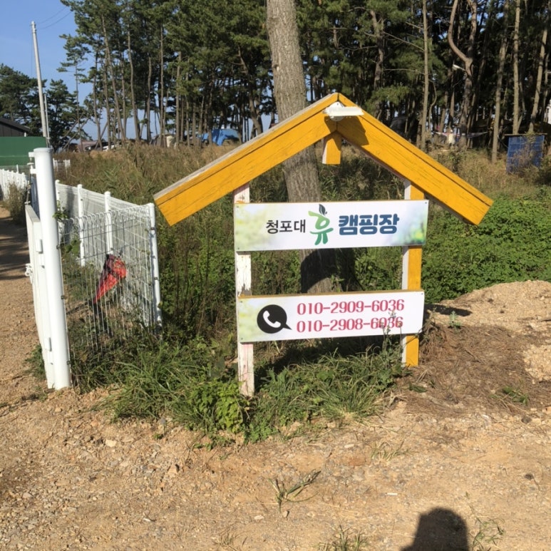 청포대휴야영장 이미지