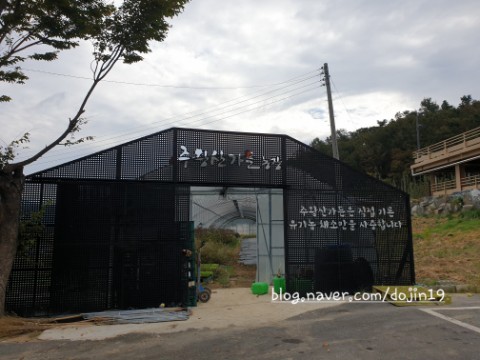주왕산가든 농장 이미지