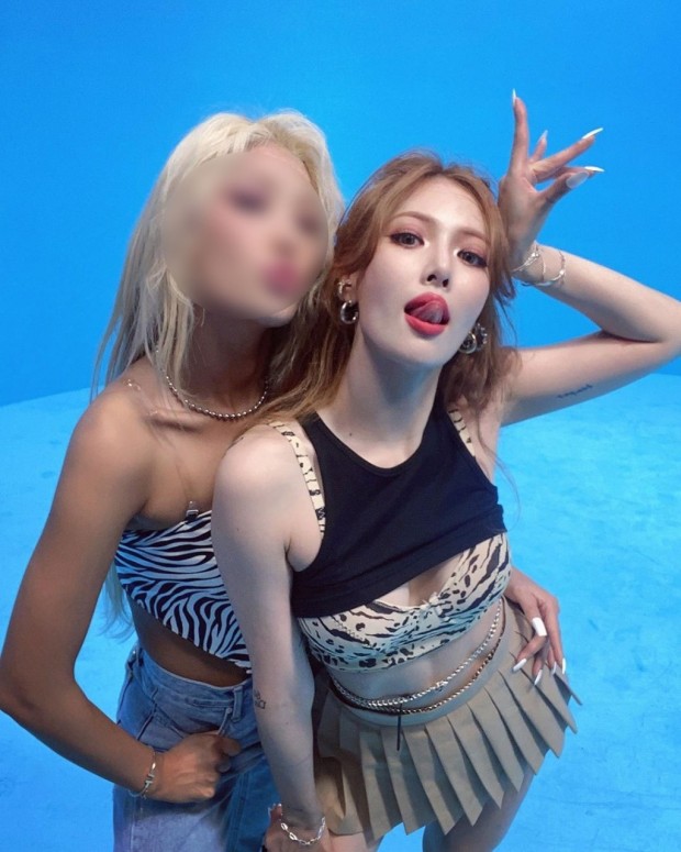 라인텐 이미지