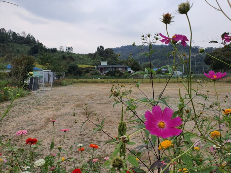 DMZ마루캠핑 이미지
