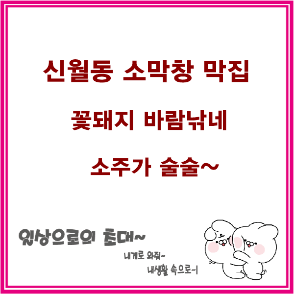 꽃돼지바람났네 이미지