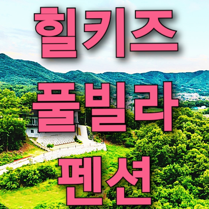 강화힐키즈풀빌라펜션 이미지