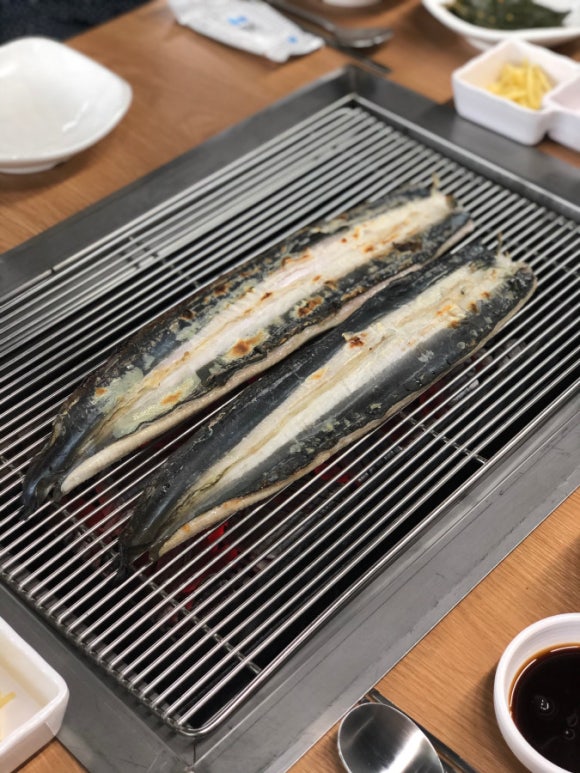 불끈장어 이미지