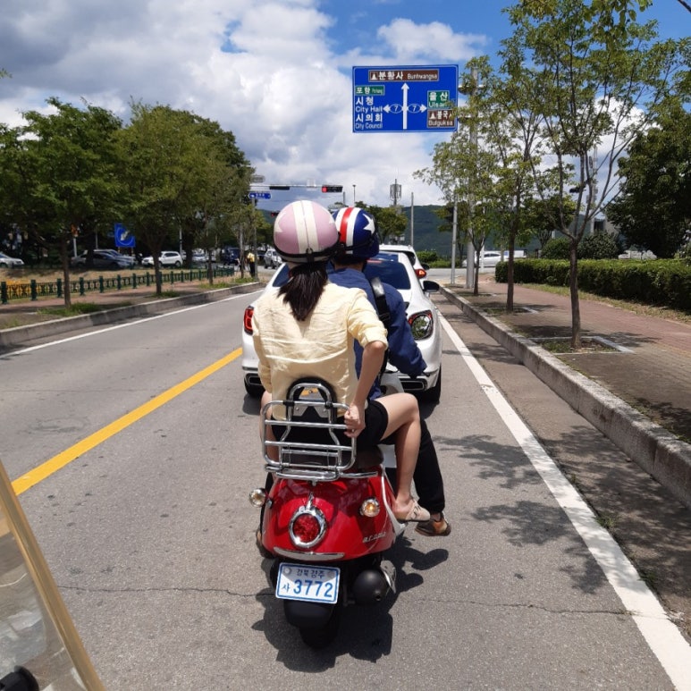 사계절투어 이미지