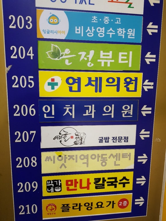 아리굴 이미지