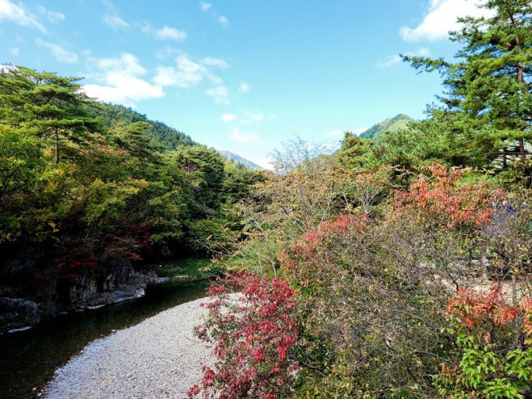 용오름캠핑장 이미지