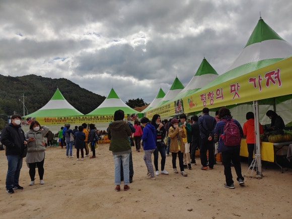 대관령농산물판매 이미지