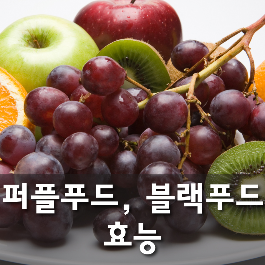 푸드와이즈 이미지