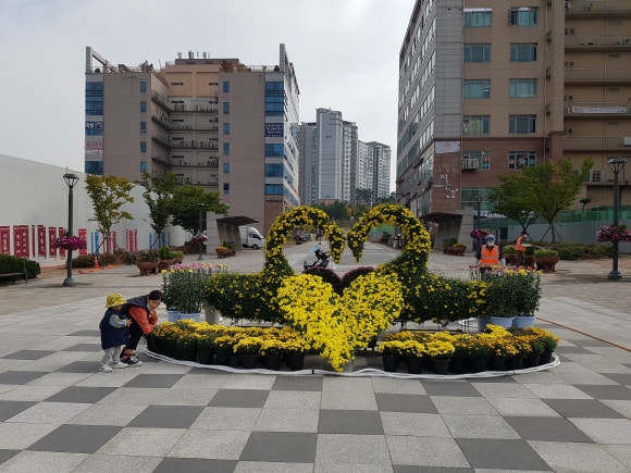 하트꽃화원 이미지