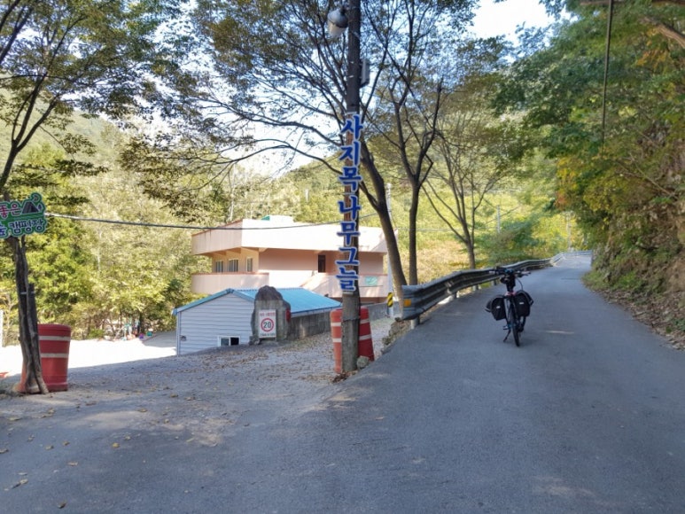사지목나무그늘 이미지