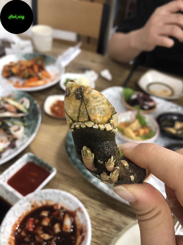 추자회소랑 이미지