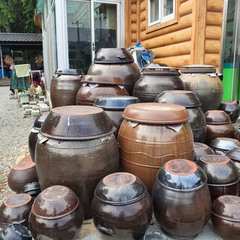 우리콩사랑 이미지