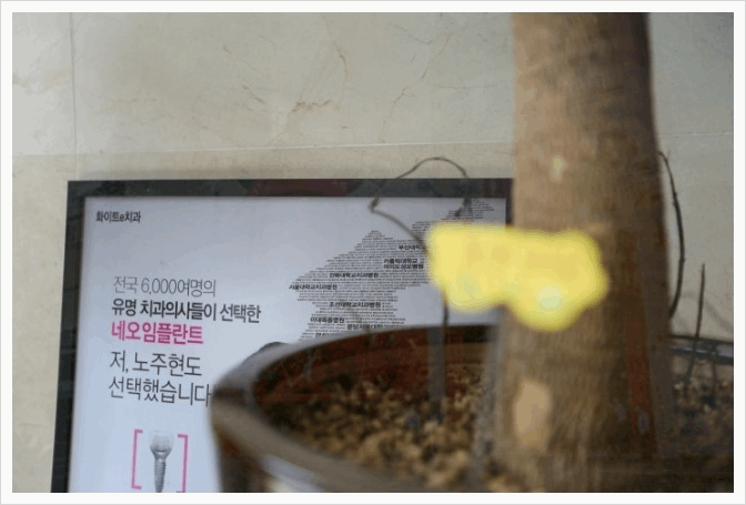 화이트e치과의원 이미지