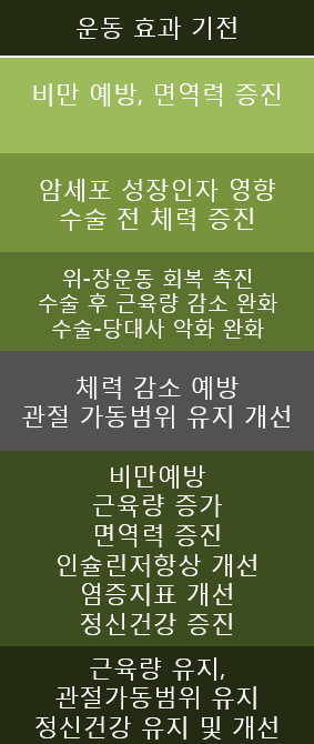 스파인랩 이미지