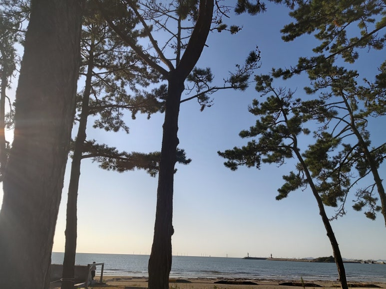 구시포노을캠핑장 이미지