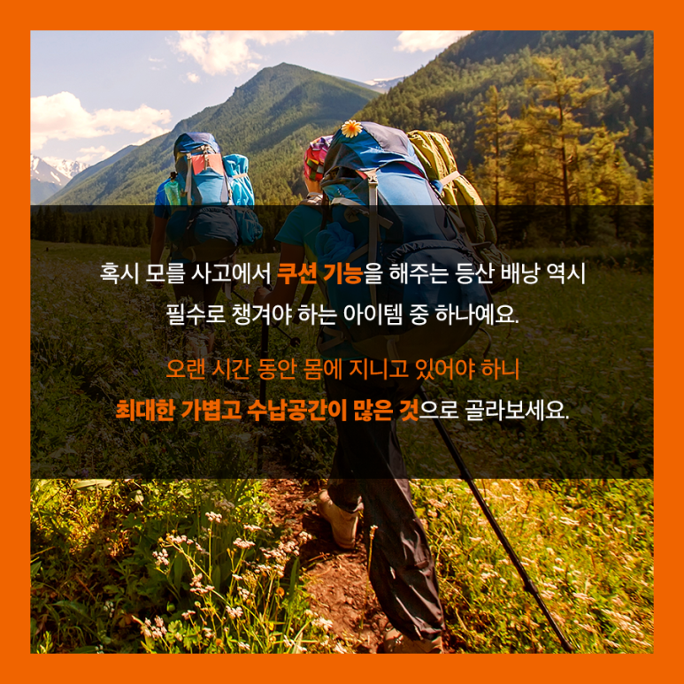 노원세이브존네파 이미지