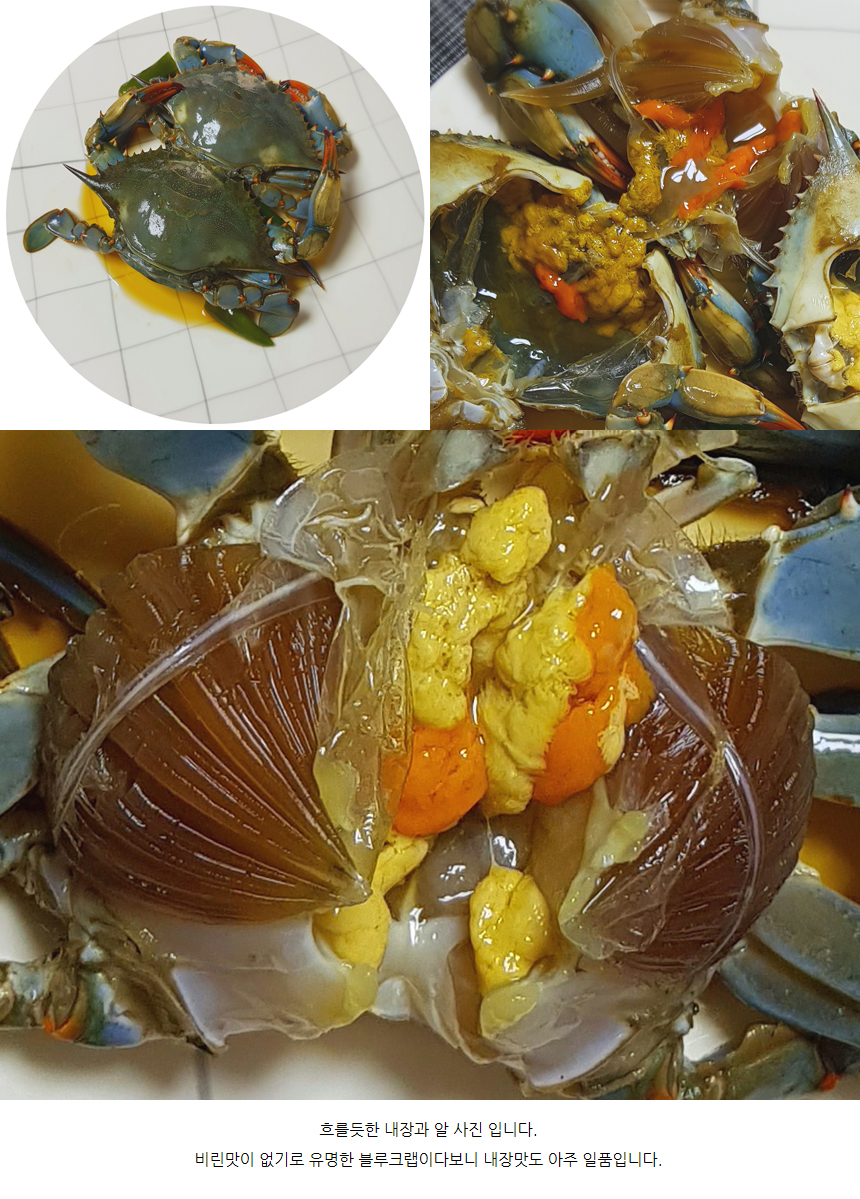 맷셰프 이미지