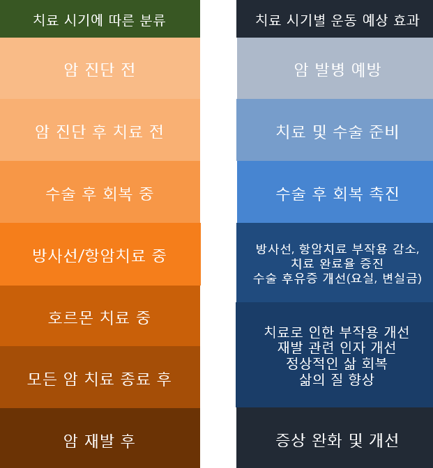 스파인랩 이미지