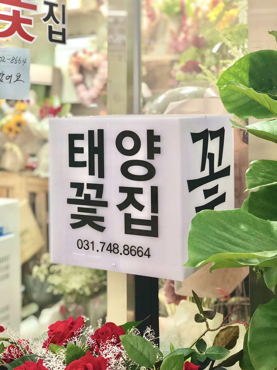 태양화원 이미지
