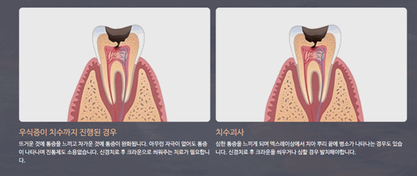 노치과의원 이미지