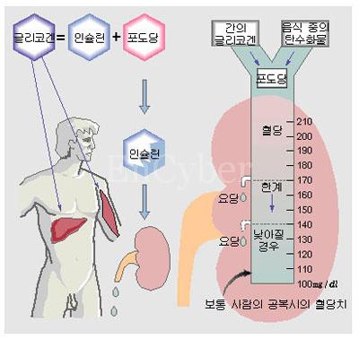 클래스윔 스포츠센터 이미지