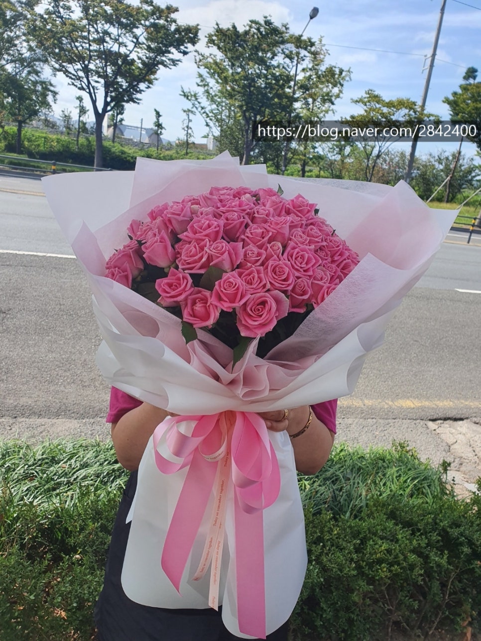 오성화원 이미지