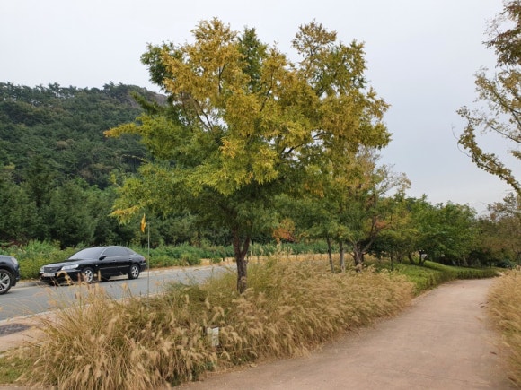 본산한우프라자 이미지