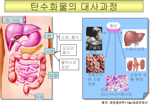 클래스윔 스포츠센터 이미지
