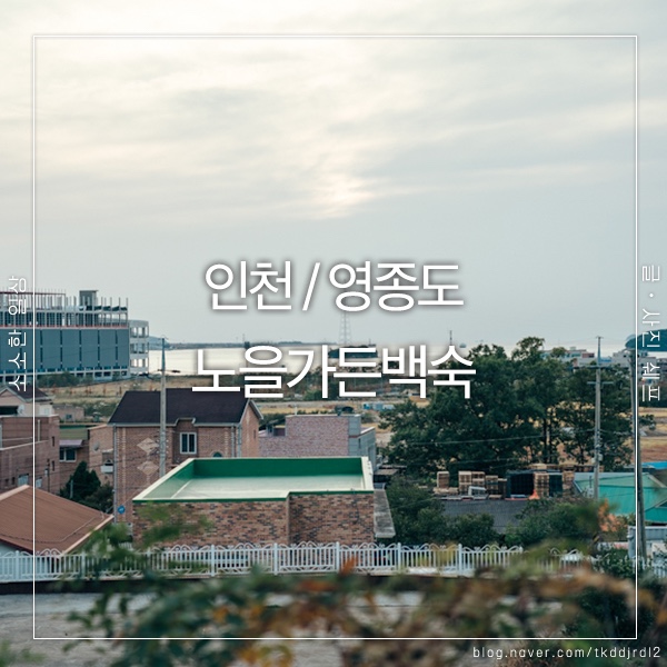 노을백숙 이미지