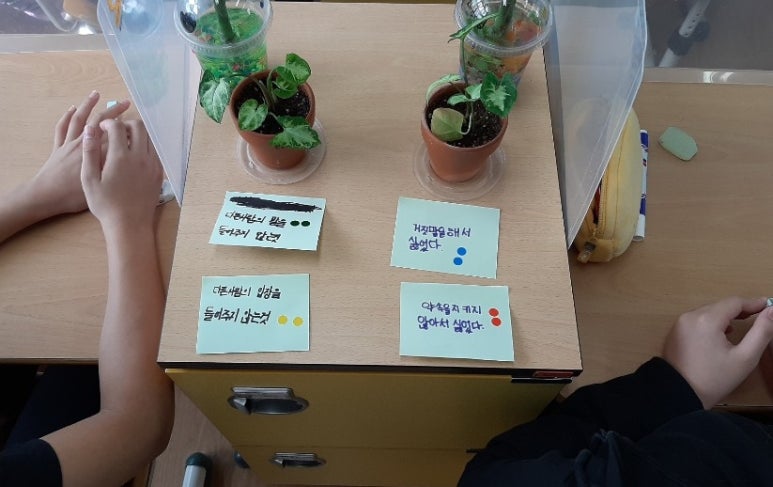 백양초등학교 이미지