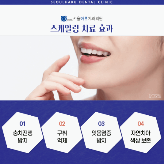 하루에치과의원 이미지