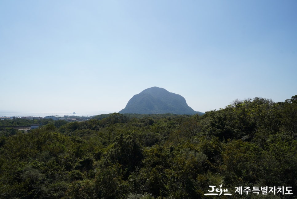 고요한숲 이미지