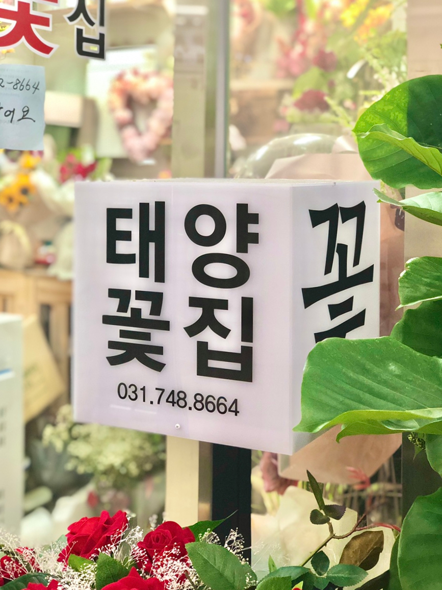 태양화원 이미지