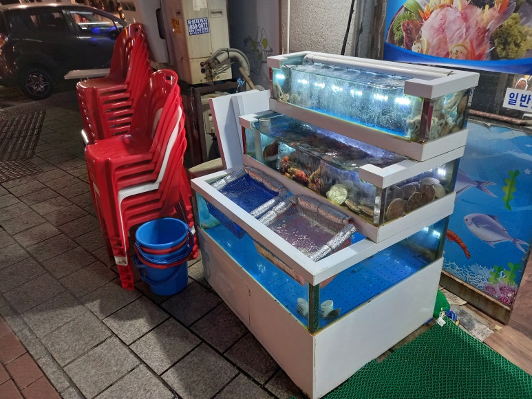 나기문막횟집 이미지