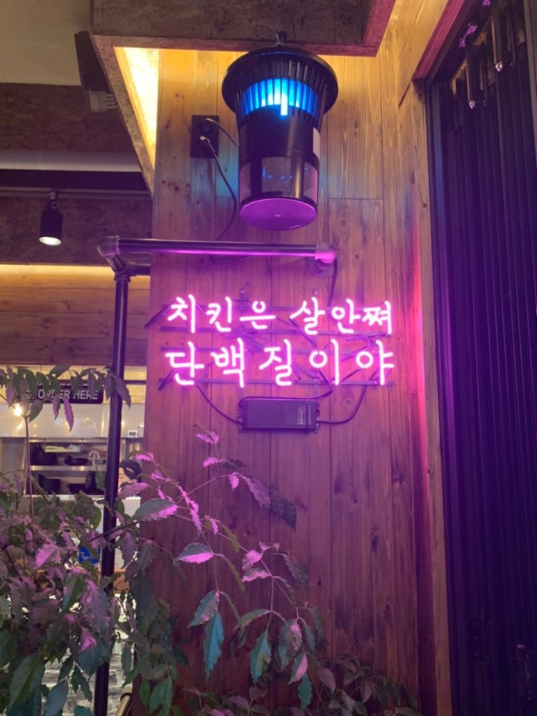 양계장집아들 이미지