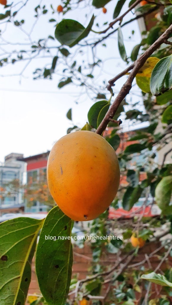필건축사사무소 이미지