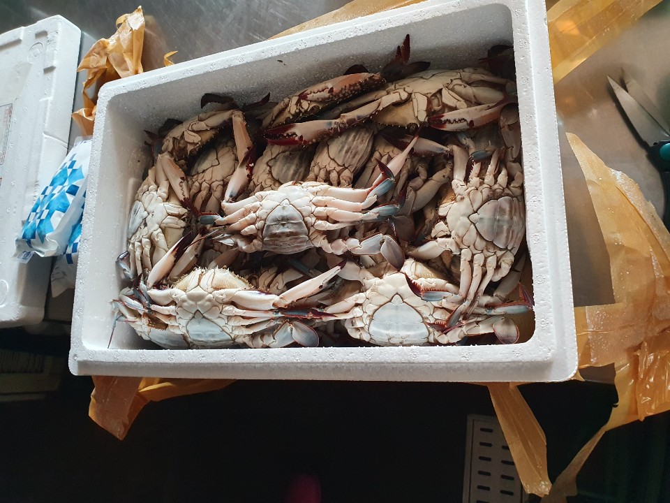 영아수산 이미지