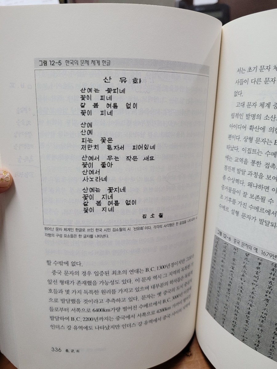 모도리상점 이미지