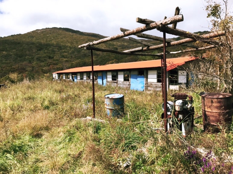 삼호산장 이미지