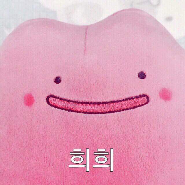 웨이쿡 이미지