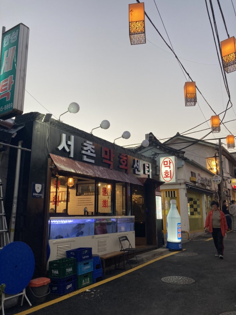 막회한판 이미지