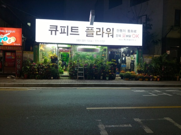 큐피트플라워 이미지