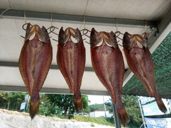 송도초밥민어코스 이미지