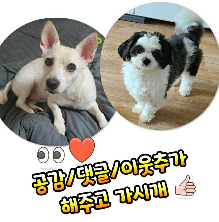 올가스킨 헤어 이미지