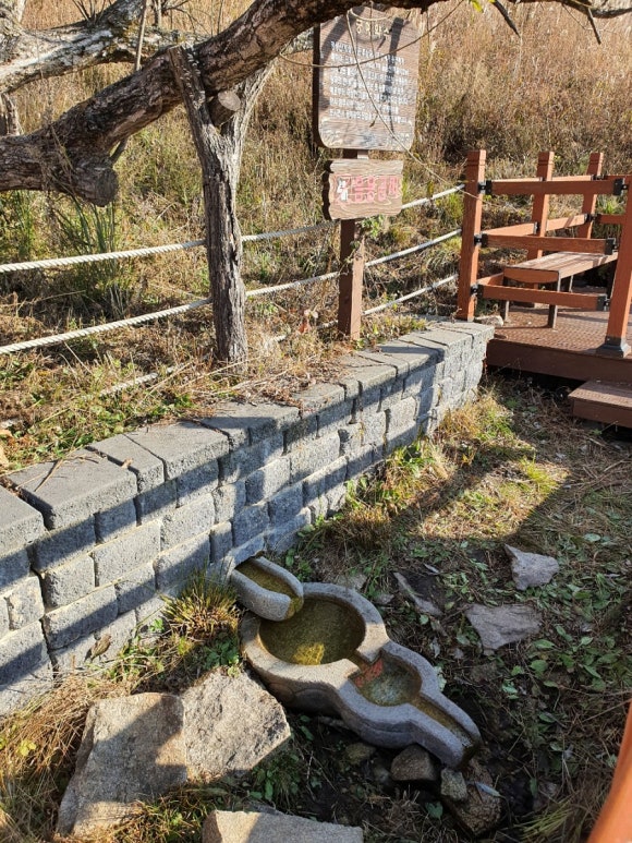 왕건순대국 이미지