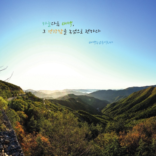 주식회사 카카오투어 이미지