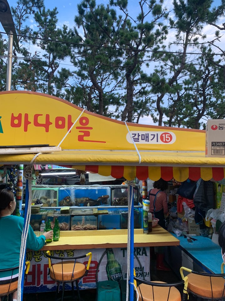 갈매기포차 이미지