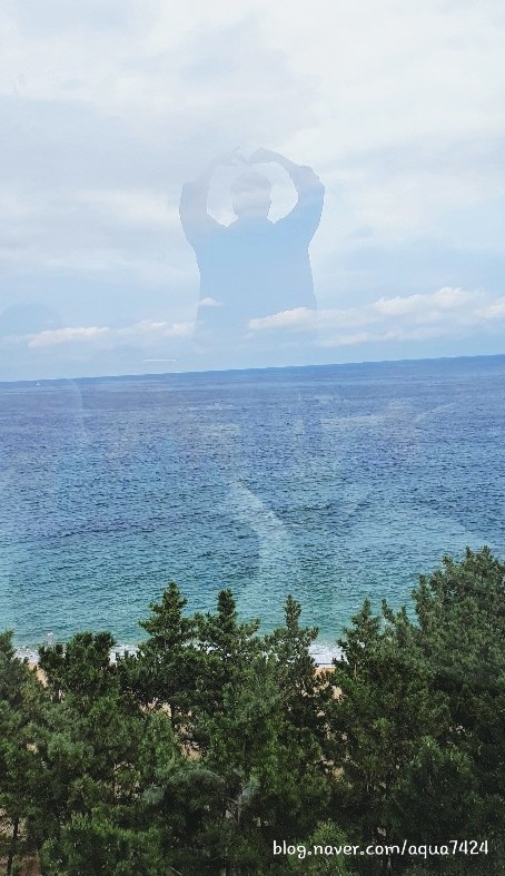 영육식품 이미지