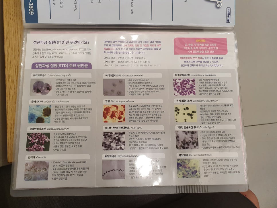 정산부인과 이미지