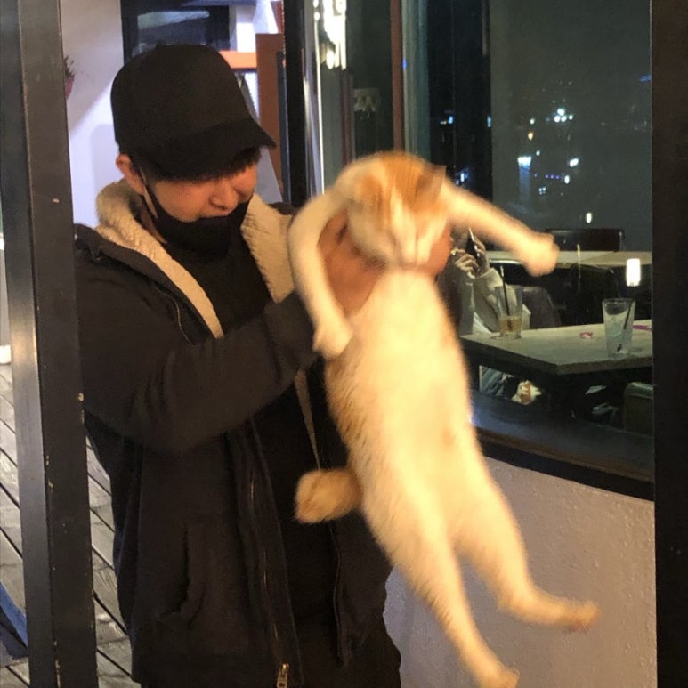 송*형 이미지